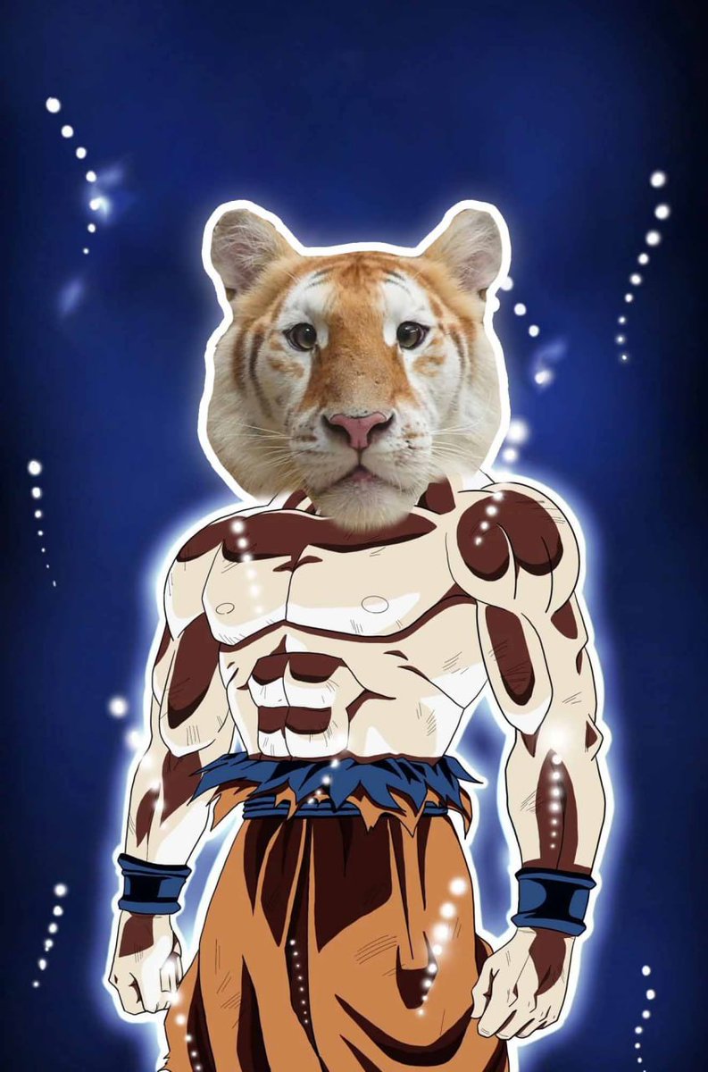 <a href="/HTX_Global/">HTX</a> $Ava on the accumulating phase 🐯

#ava #viraltiger #memecoin