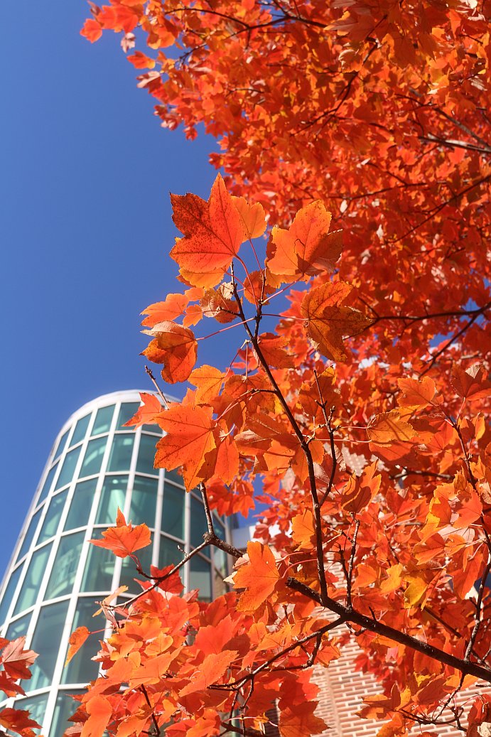 IDEaS at Georgia Tech tweet media