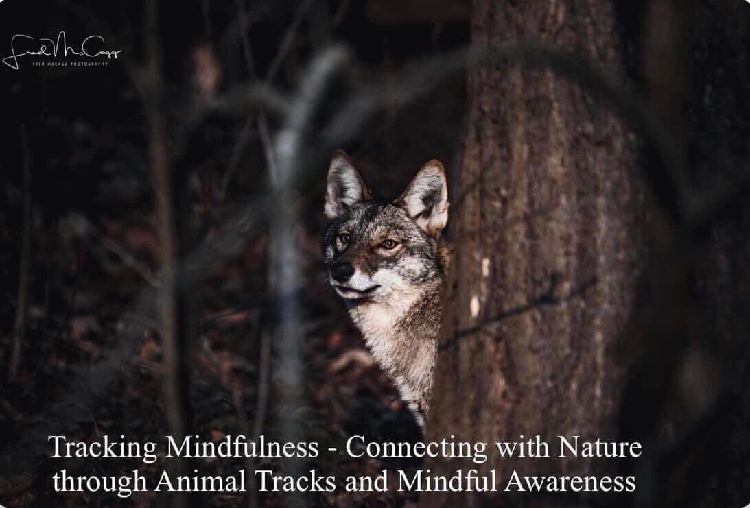 FMcCagg's tweet photo. One week out to first animal track and sign class. Session #1- Dec. 14 Click link to register ! 

https://t.co/gt61JRsrdw https://t.co/62MMEQ9ihq