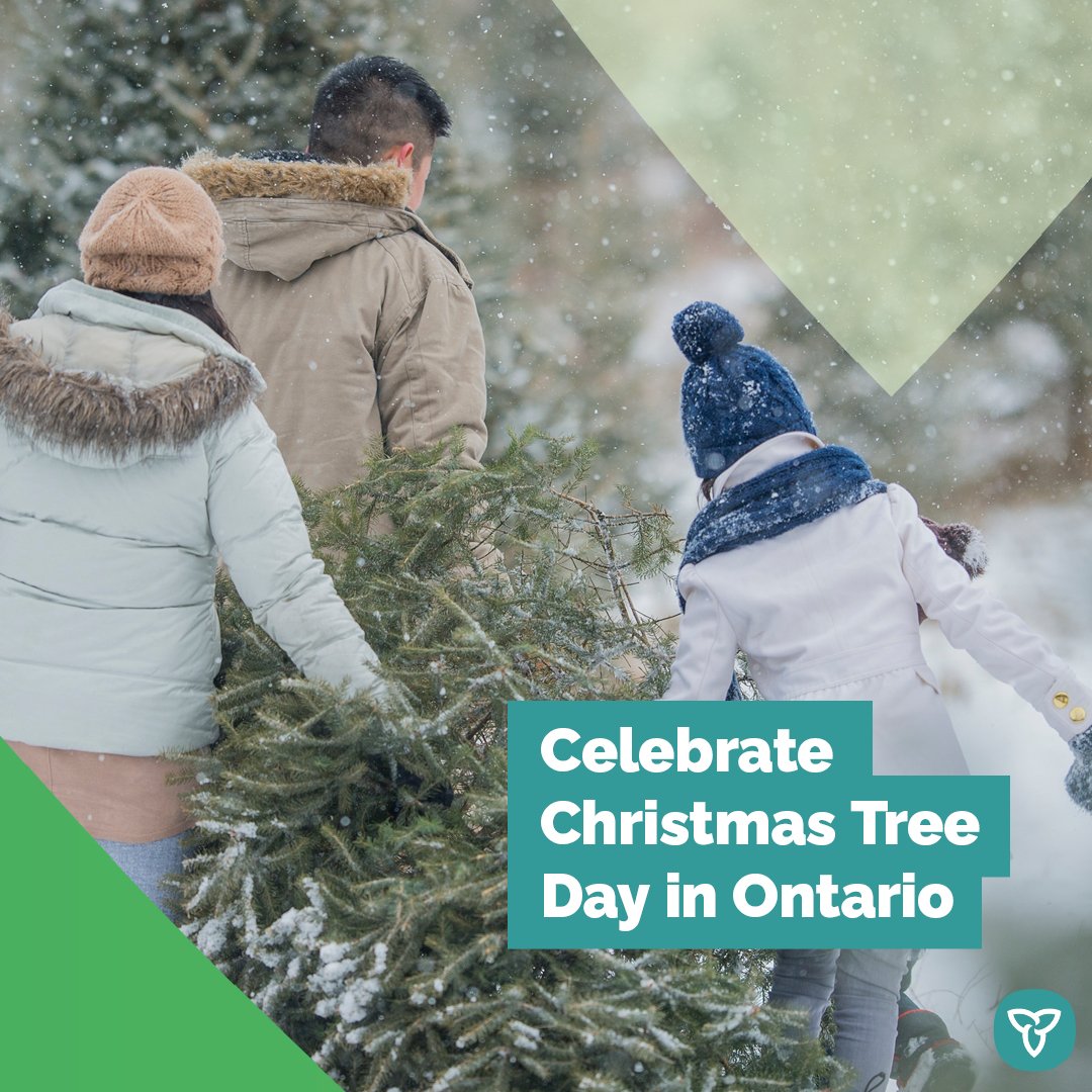 AgricultureON's tweet photo. Today is #ChristmasTreeDay! Support Ontarioโs dedicated tree farmers by purchasing a locally grown Christmas tree.
Find a producer near you:
https://t.co/u2PPwQaCB8
#OntAg #ShopLocalON #OntarioWood @ONresources @OntarioWood https://t.co/uS9P1DRJv8