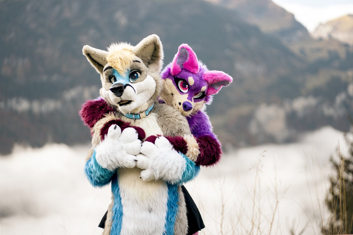 Tapik_Dato's tweet photo. Now I have caught a @Flookiewolf

📷 @kian_barker

#FursuitFriday https://t.co/TBRzsTCfts