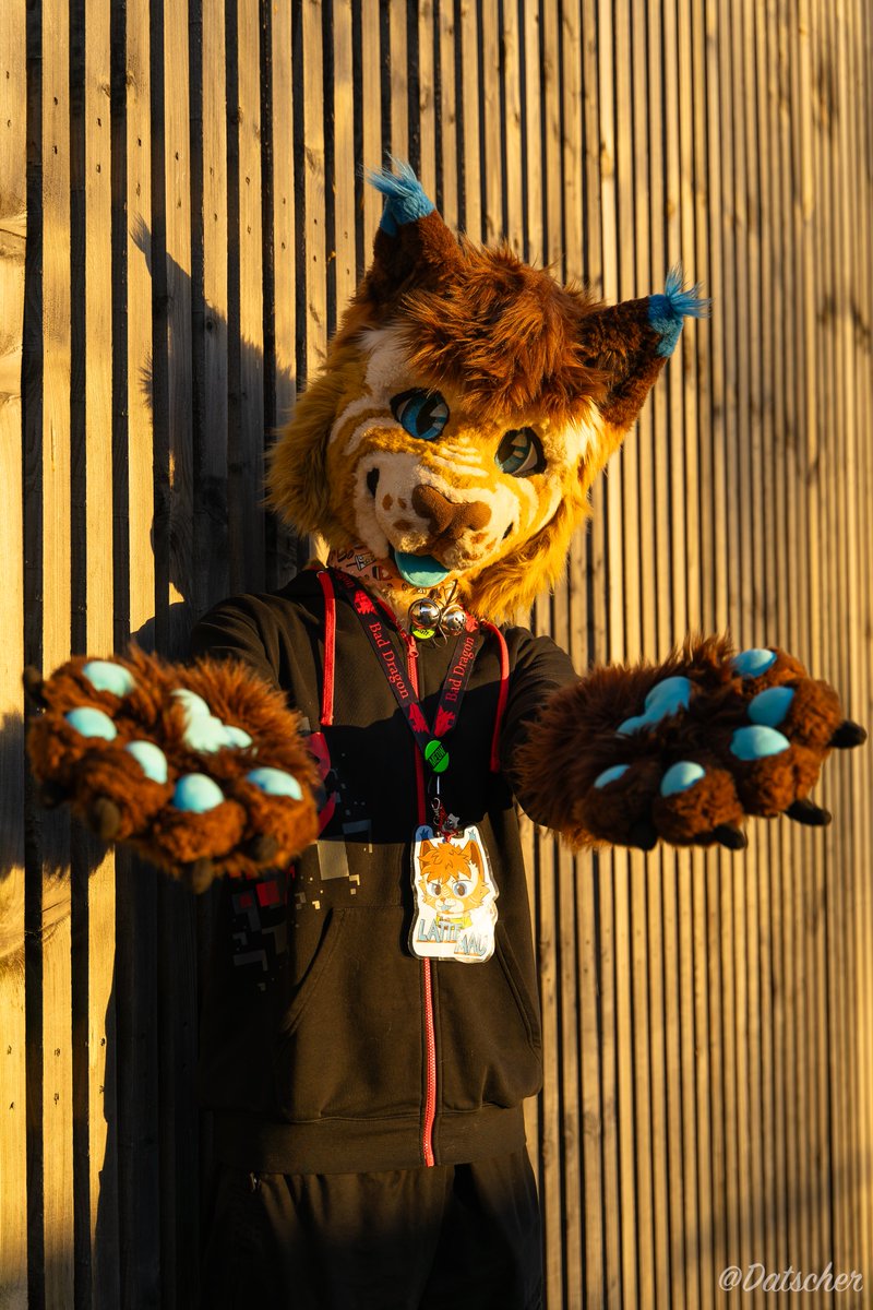 LatteMau's tweet photo. Advertising @indiantvcz hoodie around the world...  the inevitable connection with furs is deepening 🤭
#FursuitFriday 

-few peeps even praised the design and asked me about it 🙂

📷photos by: @Datscher02 , @Rye_Photos and @_xPiTi https://t.co/VKuXQY7p7d