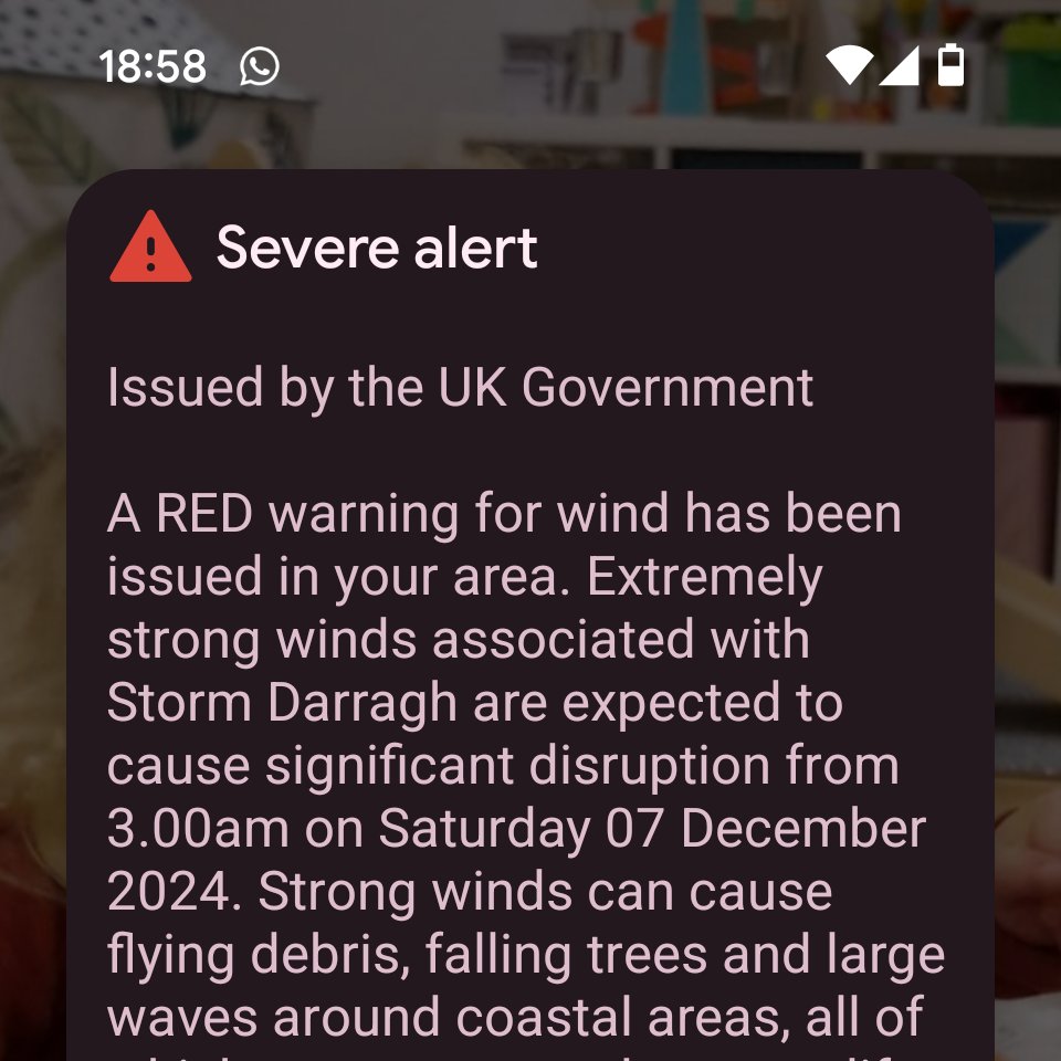 Rose Stokes tweet media