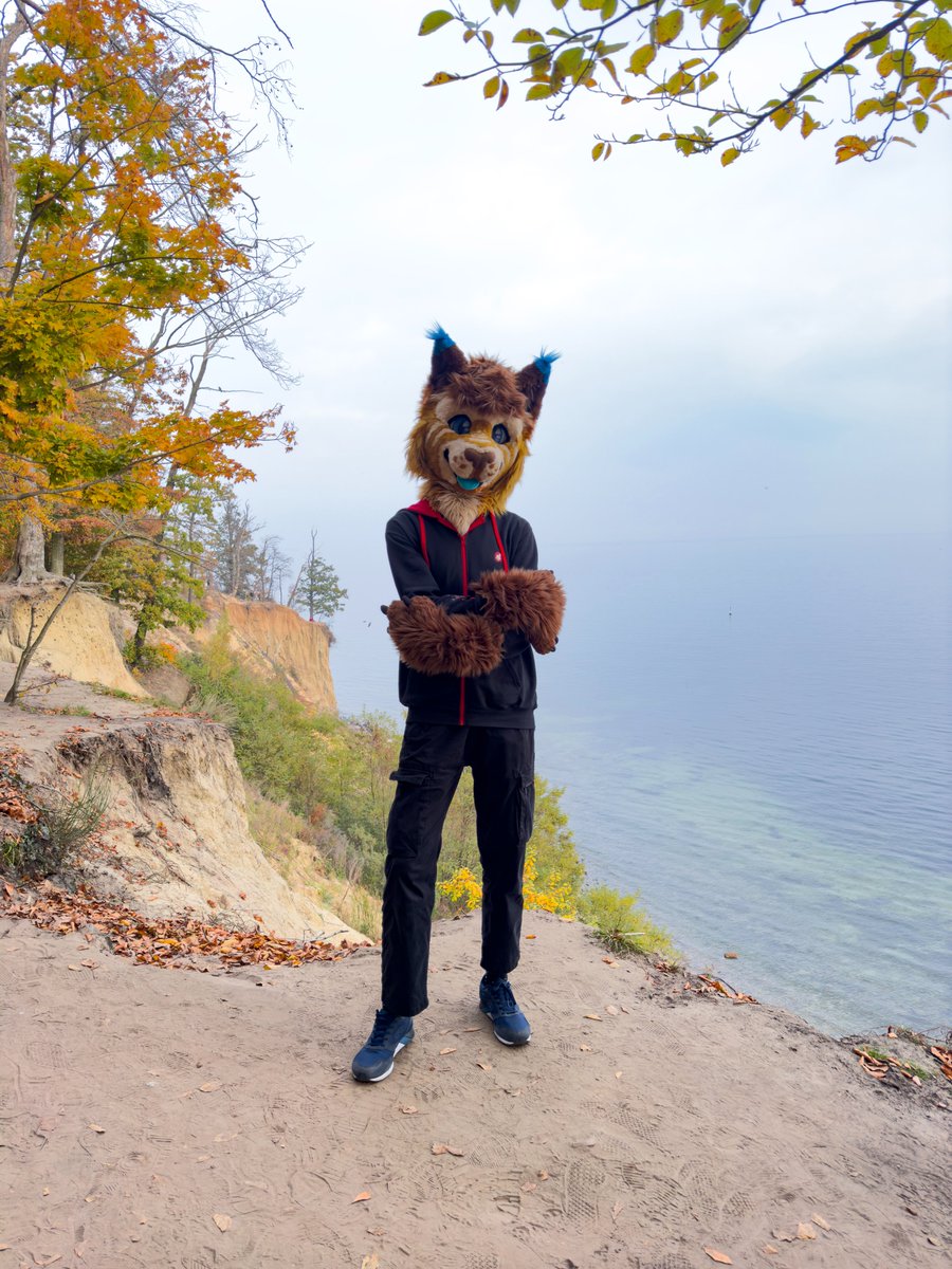 Advertising <a href="/indiantvcz/">INDIAN - Pořad o hrách</a> hoodie around the world...  the inevitable connection with furs is deepening 🤭
#FursuitFriday 

-few peeps even praised the design and asked me about it 🙂

📷photos by: <a href="/Datscher02/">Datscher</a> , <a href="/Rye_Photos/">Rye</a> and <a href="/_xPiTi/">PiTi</a>