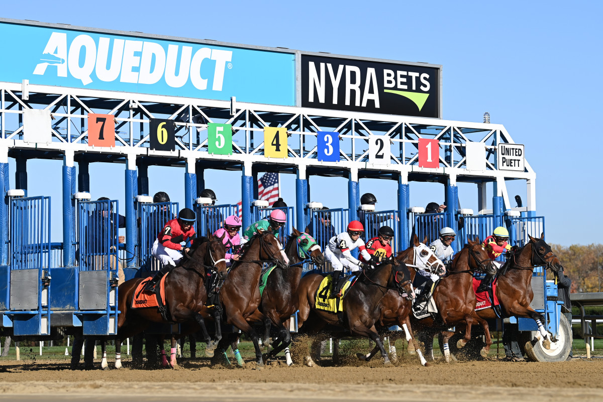 Equibase's tweet photo. #Statlines Top Play of the Week courtesy of Aqueduct! 🔵⚪️

G2 Cigar Mile Handicap at AQU
Race 9 - 3:35 PM ET 

#11 Post Time ML 7-2

Across all US and Canadian tracks, Sheldon Russell and Brittany Russell are tied for the 4th best route race winning percentage together (5 of 9, 56%) over the last 45 days for all jockey and trainer combinations with at least 5 route starts together. That includes 9 times in the money and a $2 ROI of $8.20.

Get free premium past performances, race analysis, speed & class E graphs, Flash Net and more for the Equibase featured race of the week with the link below!
https://t.co/PWMRdHsnG9

Photo: NYRA/Coglianese