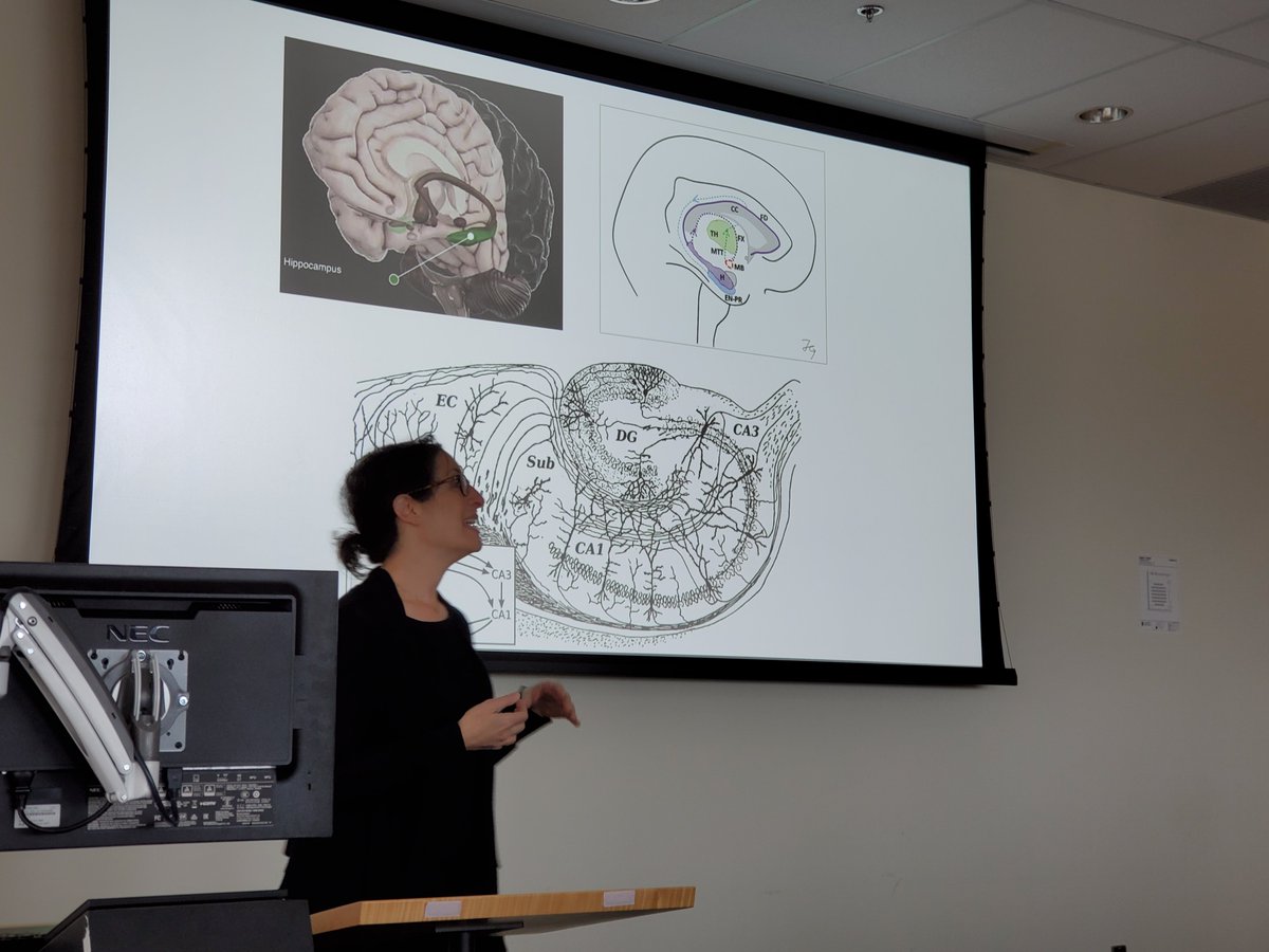 Doug Crawford (@j_d_crawford) on Twitter photo <a href="/RosenbaumMemory/">Shayna Rosenbaum 🎗️</a> presenting her work on hippocampus and memory for <a href="/YorkU_CIAN/">Centre for Integrative and Applied Neuroscience</a>. <a href="/RosenbaumMemory/">Shayna Rosenbaum 🎗️</a> presenting her work on hippocampus and memory for <a href="/YorkU_CIAN/">Centre for Integrative and Applied Neuroscience</a>.