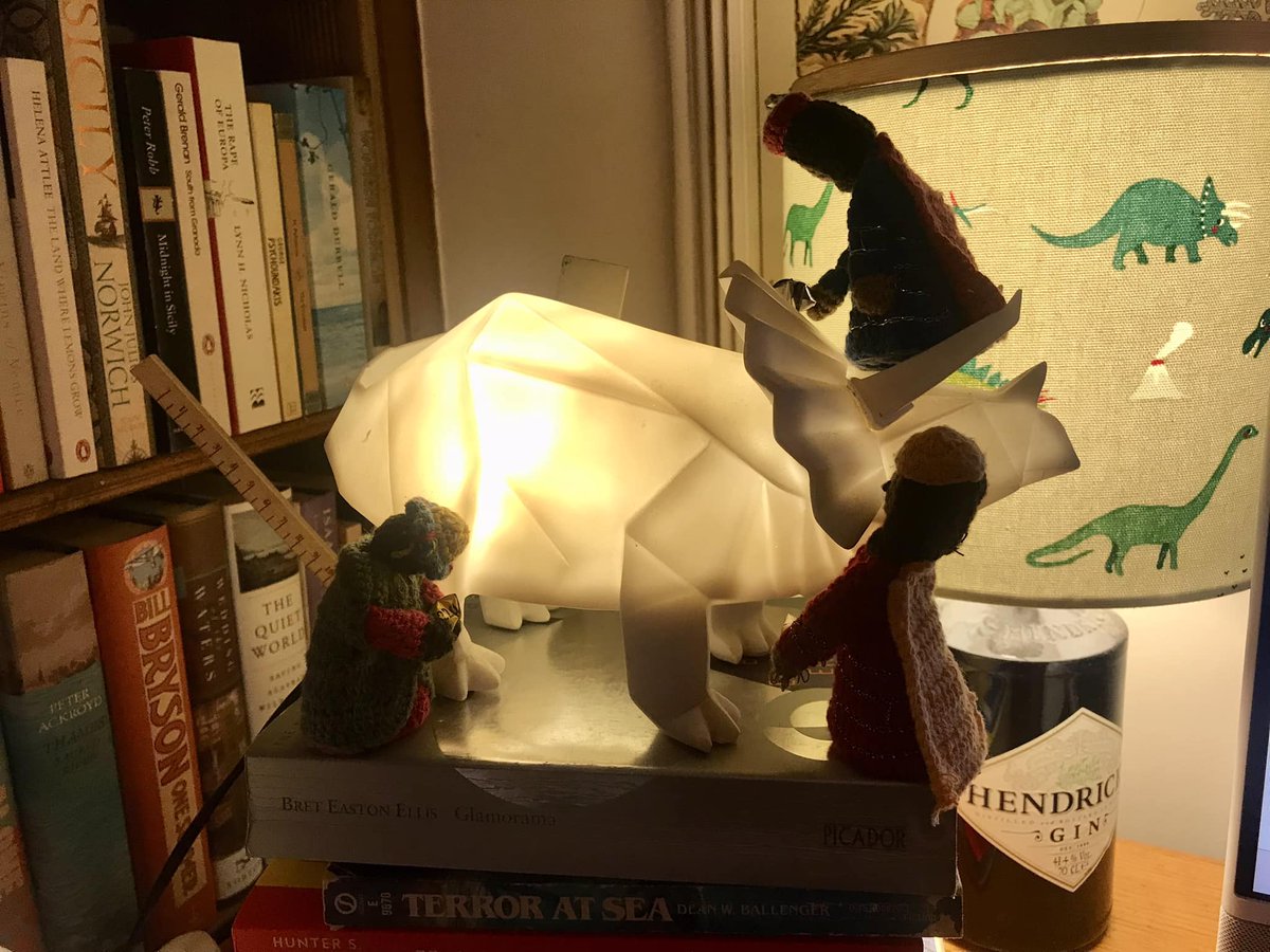 Day 2: Melchior: Ma'am, do you know the way down from this 'To Read' pile?
Glowing Triceratops <glows> #TinyKnittedMagi