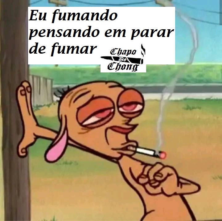 Chapo Do Chong (@chapodochong) on Twitter photo 