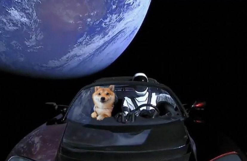dogeofficialceo's tweet photo. DON’T PANIC https://t.co/DYYjsMtOKF