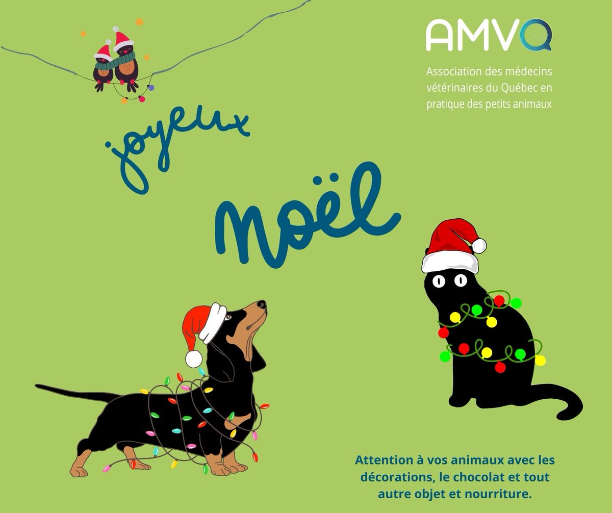 Toute l'équipe vous souhaite un très Joyeux Noël. Surveillez Pitou et Minou, on vous veut tous en bonne santé pour le reste de l'année!
#amvq #noel2024 #chien #chat