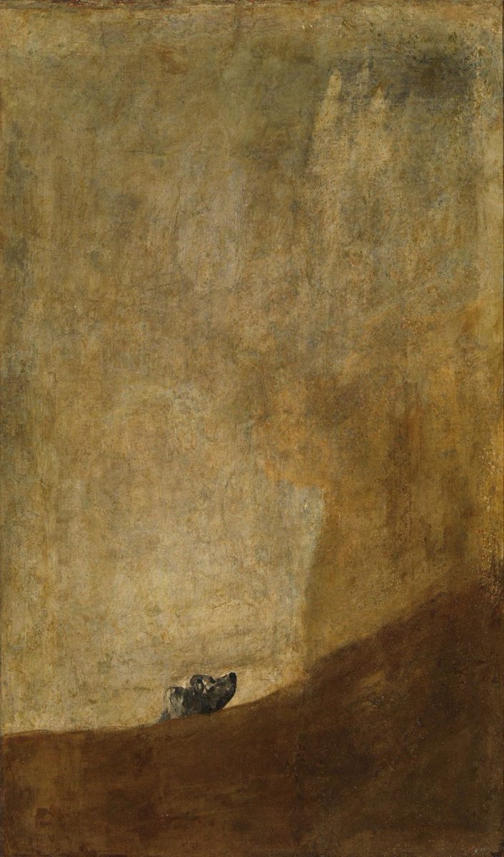 Rafael_Narbona's tweet photo. LA GRANDEZA DE LA DERROTA

Las pinturas negras de Goya rebosan angustia. “El perro semihundido” es una composición misteriosa que contiene la agonía del nacimiento y la incertidumbre del fin. Entre un mar de dunas, el perro alza la cabeza, luchando por no ahogarse en unas arenas movedizas. Tal vez sólo está escondido, pero sus ojos, dulces y humanos, parecen estremecidos por el vacío y la soledad, acentuados por un cielo de un cromatismo imposible, donde confluyen el ocre, el verde y el amarillo. El cielo alto e inverosímil nos sugiere que la vida es un estado de excepción, algo insólito y precario, abocado a una inevitable disolución, pero el perro no parece dispuesto a sucumbir bajo talud que se precipita sobre su cabeza como un gigantesco vómito. 

El perro utiliza su angustia para sobrevivir, pero no se hace ilusiones sobre su futuro. Si consigue liberarse, solo le aguarda el desprecio de los hombres, que le ahuyentarán con palos y piedras. Tendrá que merodear por los vertederos, alimentarse con sobras, beber en charcos de agua sucia, protegerse del frío y la lluvia en zaguanes umbríos. Sin embargo, su lucha contra las arenas movedizas posee una dimensión épica. Es un ejemplo de ese coraje que perdura en mitad de la desgracia. En la peripecia del perro semihundido de Goya se aprecia la obstinación de la vida, siempre dispuesta a sortear los peores abismos. No hay mayor grandeza que continuar luchando cuando sabes que avanzas hacia la derrota.