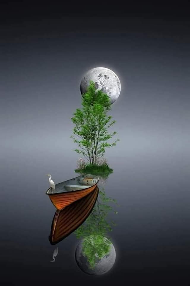 azzeezalrooh's tweet photo. شيئان لا يتغيران في هذه الحياة أبدا..
إتجاه القبلة..
و إتجاه مشاعر القلوب الصادقة..
و كلاهما يحتاجان يقينا..
و أخلاقا https://t.co/AO6KARiRf3