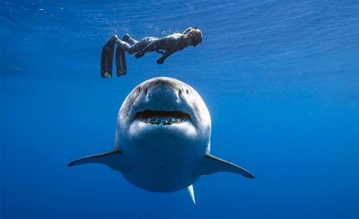 Nah you go meet wetin go kill you. 😂