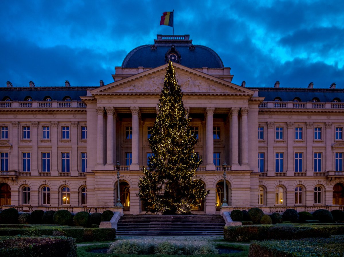 MonarchieBe's tweet photo. 🎄 Waouw ! Des milliers de lumières illuminent le sapin de Noël du Palais royal depuis ce matin.
👀 Il provient cette année de la @provincenamur et mesure pas moins de 22 mètres de haut. https://t.co/Y6DOHyVNOs
