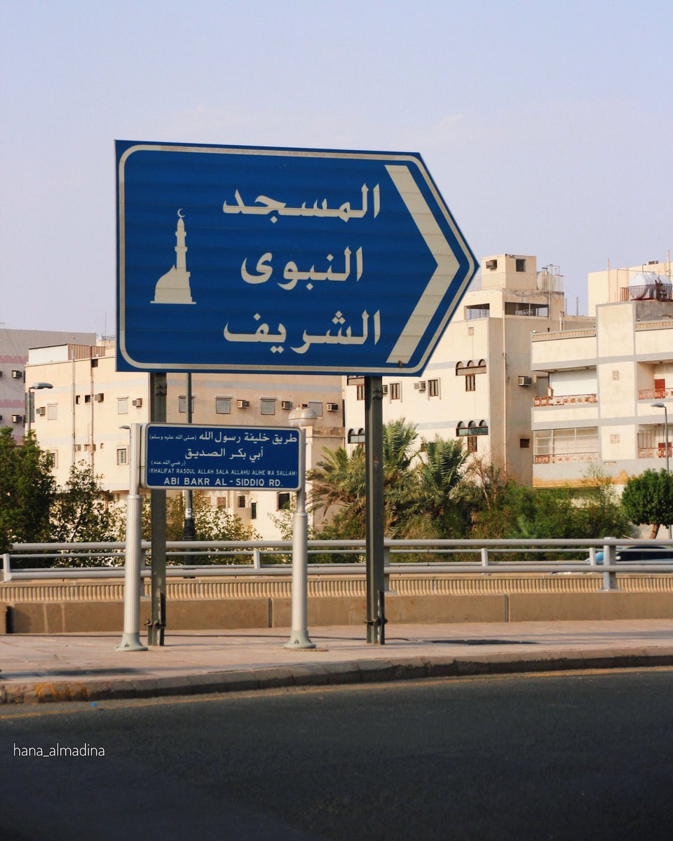 هناء المدينة tweet media
