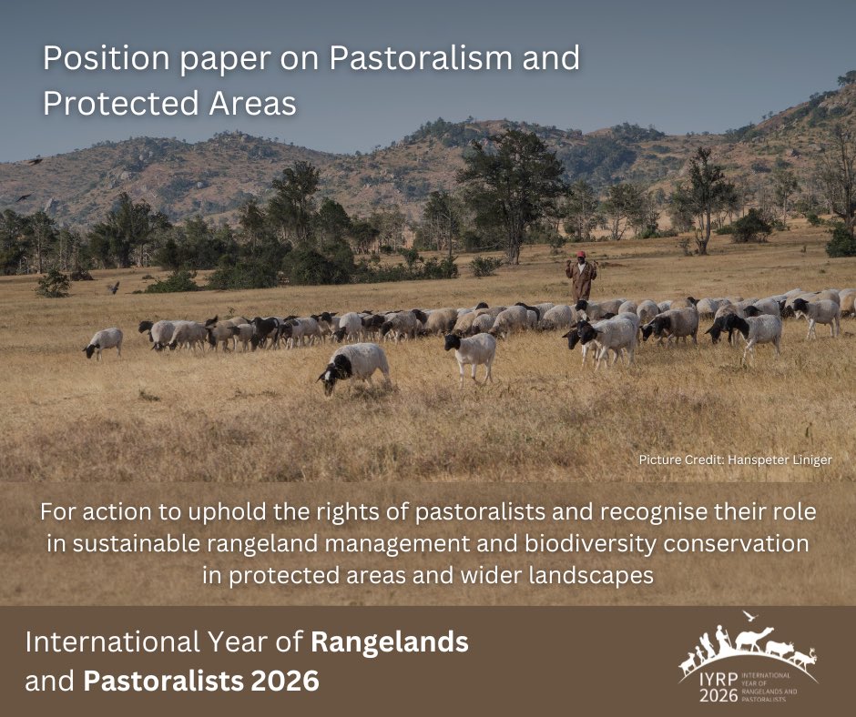 IYRP Global Alliance calls upon States, protected-area authorities, organisations of the United Nations system, other international and regional organisations and other relevant stakeholders, including civil society, the private sector, and academia…