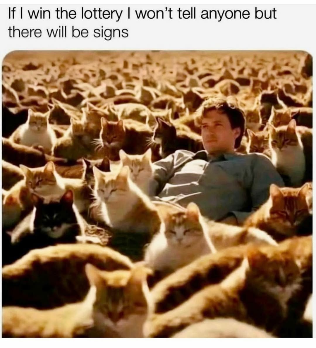 WeAssessCats's tweet photo. https://t.co/hQZQgHrO7J