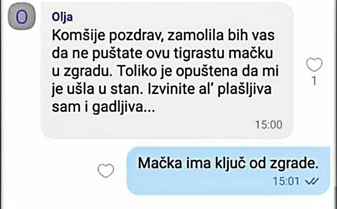 БЕЛИ КЕР tweet media
