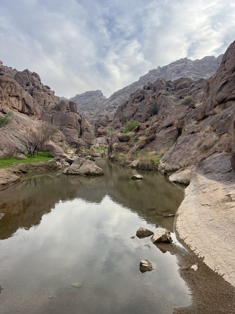 al_akalsaif's tweet photo. https://t.co/gK7sd1DMVj