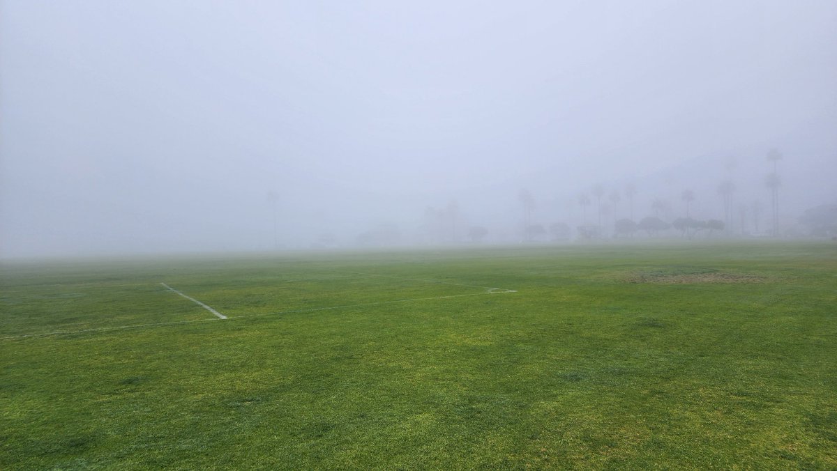 What do you think is happening in the Fog?