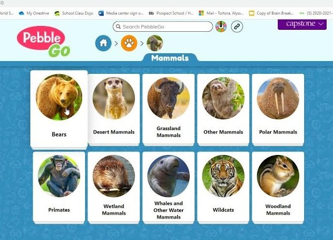 Katie Scott tweet media