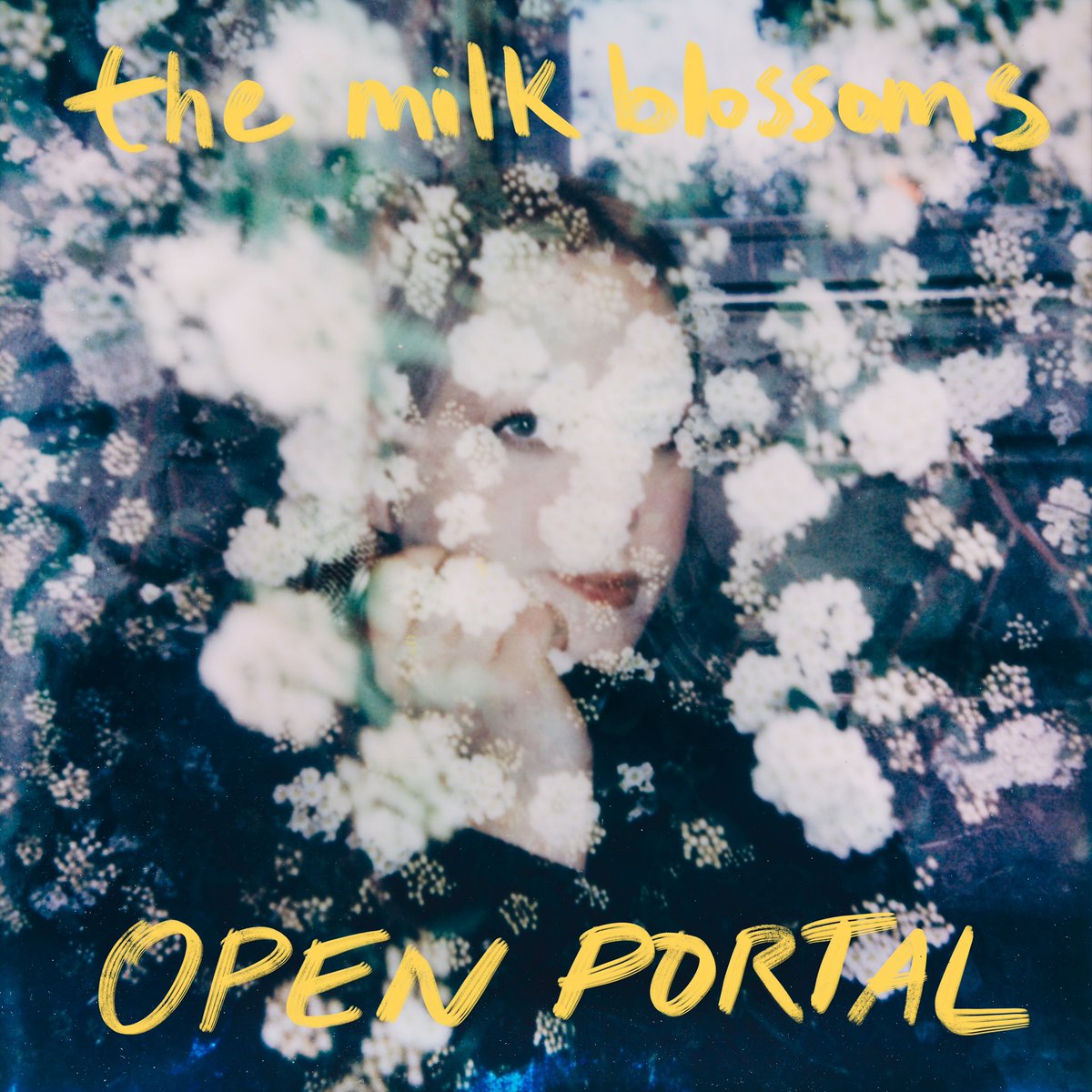 themilkblossoms's tweet photo. happy bandcamp friday. our record, ‘open portal’ on vinyl is available on sale today. thank you for picking up copies at the shows and on bandcamp, when I see you holding it, my heart bursts into confetti https://t.co/mYtiiVUctd