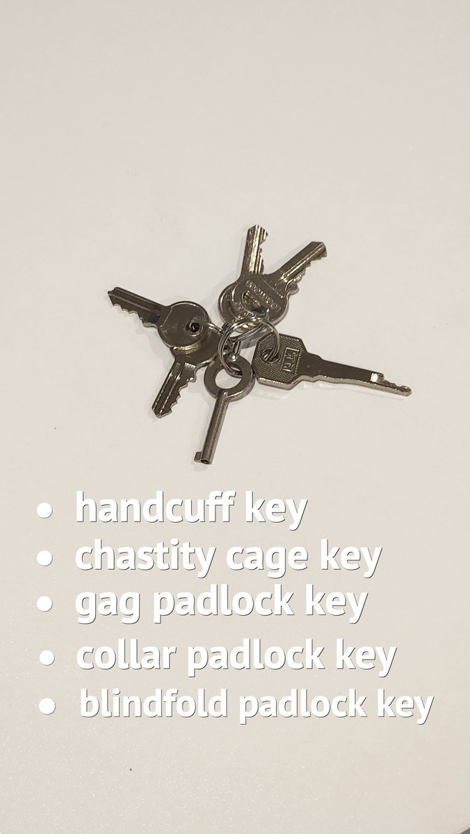 K1nkMega's tweet photo. Ah. The keys to happiness https://t.co/aPgMTeDnad