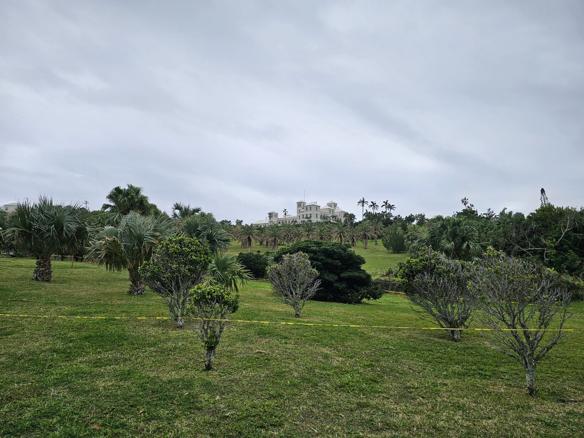 BermudaSportsChallenge tweet media