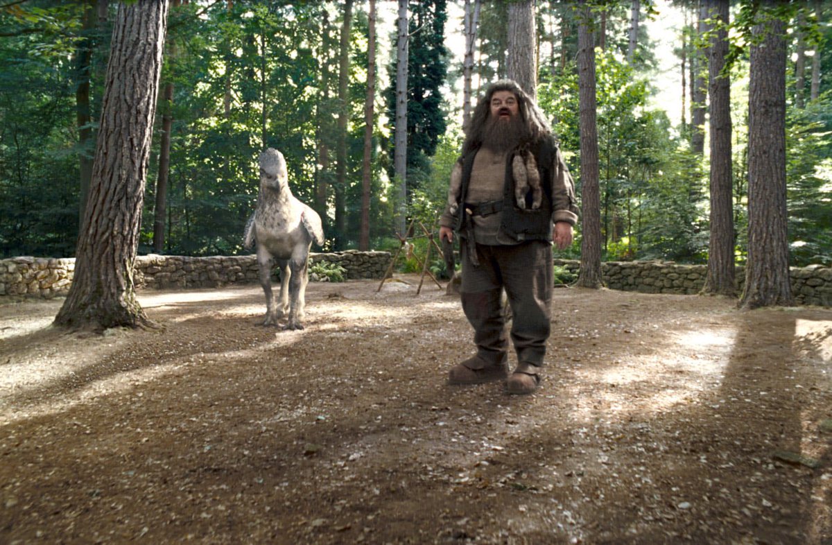HPotterUniverse's tweet photo. December 6: Happy Birthday, Hagrid! https://t.co/Y3unud25sa