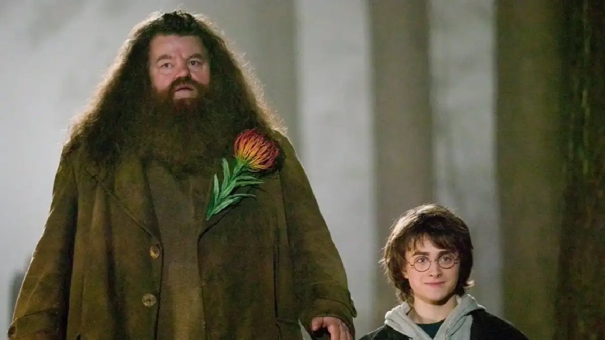 HPotterUniverse's tweet photo. December 6: Happy Birthday, Hagrid! https://t.co/Y3unud25sa