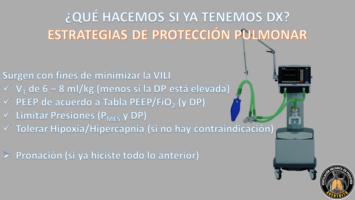 MedCritPed's tweet image. Cuando tenemos a un paciente en Ventilación Mecánica en #SDRA/#SDRAP realizamos estrategias de protección pulmonar.

#Volumen Corriente (VC): No importa si está limitado por Presión, debes vigilar el VC que te genera dicha Presión inspiratoria. Y bajar el VC si no llegas a metas.