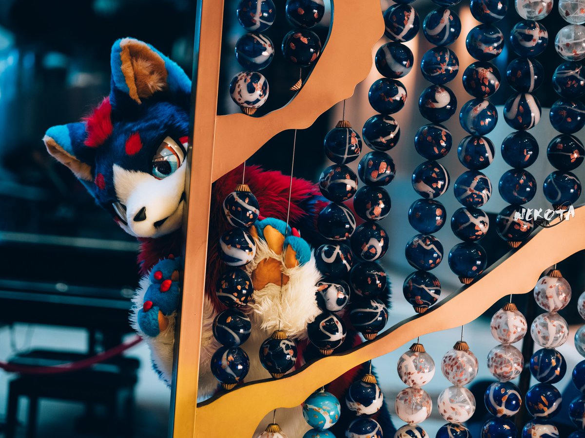 看~到~你~咯~

拍摄：<a href="/hinekota/">ネコタ@NEKOTA➡HiFurry</a>

#FursuitFriday