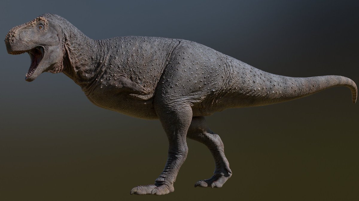 paleo_caio's tweet photo. some more light tests. #paleoart #dinosaur #pycnonemosaurus https://t.co/BjSmVGGiqX