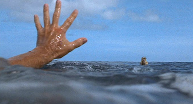 All The Right Movies tweet media