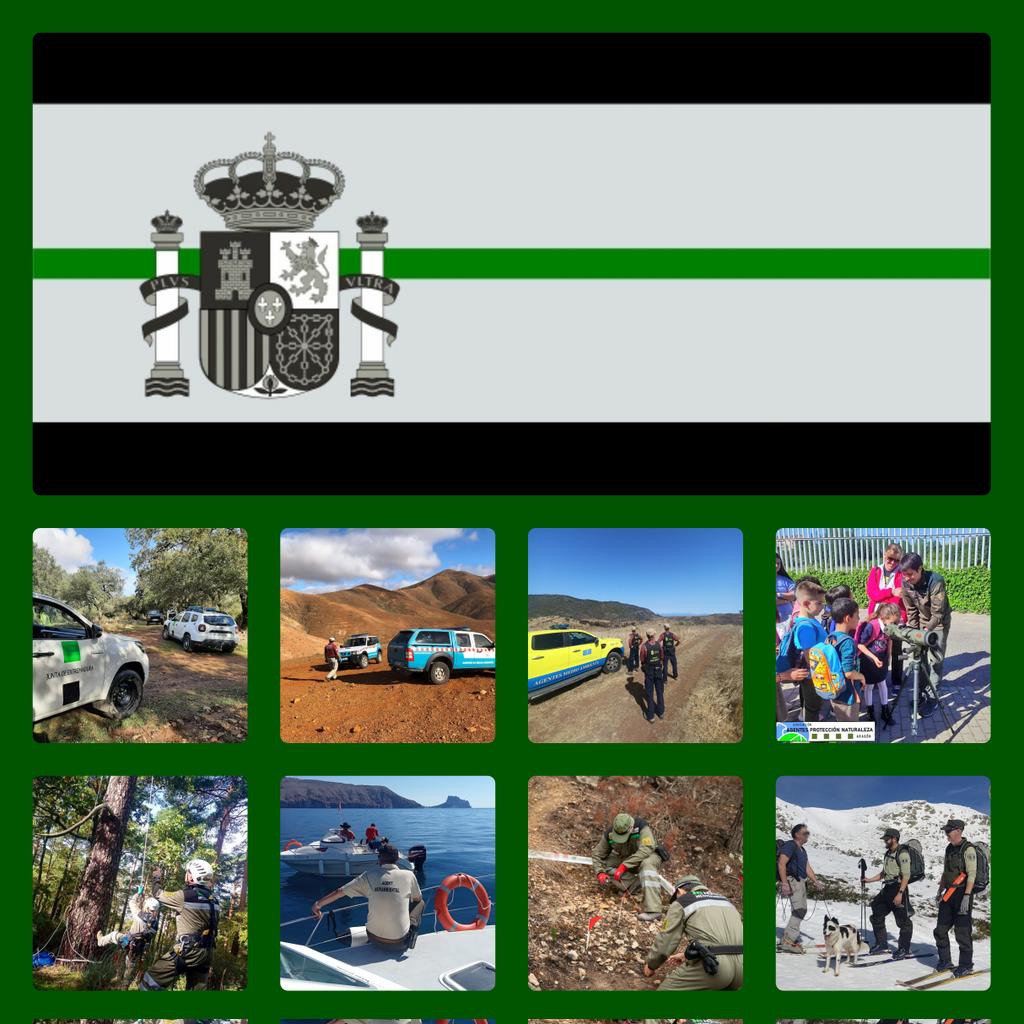 AEAFMA's tweet photo. Cada día 6.000 #AgentesMedioambientales patrullan para velar el Art.45 de la Carta Magna custodiando un patrimonio medioambiental para el disfrute de las futuras generaciones.
Un saludo especial a los agentes que hoy están de servicio.
Feliz #DíaDeLaConstitución.
🇪🇸
👮🏻‍♀️👮🏻‍♂️
🦅🌳🐳🦇 https://t.co/cZoyhjXm4t
