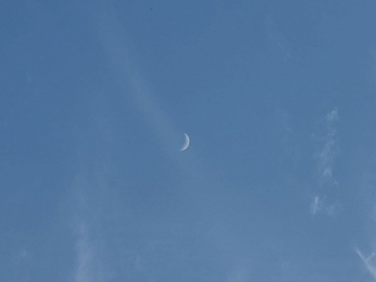 "إنّي أُجاهد أن أكونَ غيمةً
بيضاءَ مرّت لا ضِرار ولا ضَرر"🤍