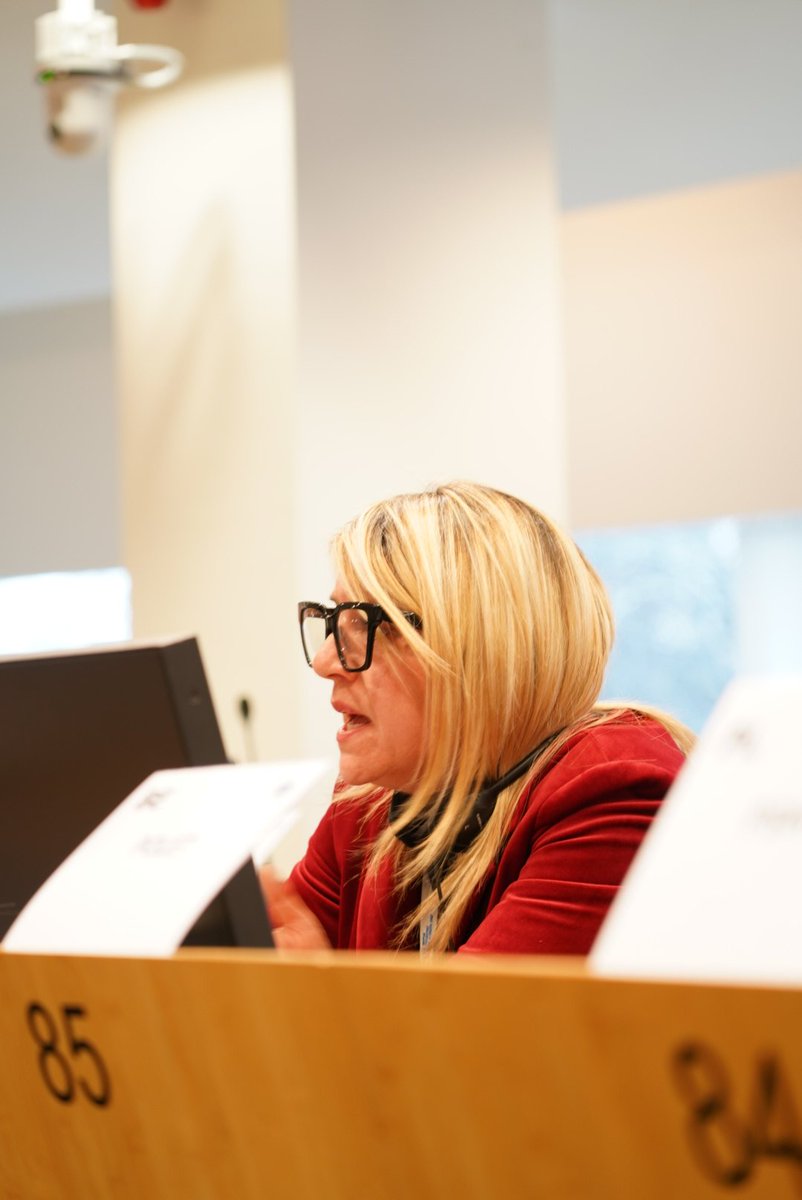 ECR_CoR's tweet photo. "Just like the National Capital of Culture at Member State Level, the European Capital of #Culture initiative is a testament to the rich and diverse heritage of our #continent offering solid international recognition for the #cities awarded"
🗣 @PiacentiniLuisa at the #SEDEC Commission meeting
