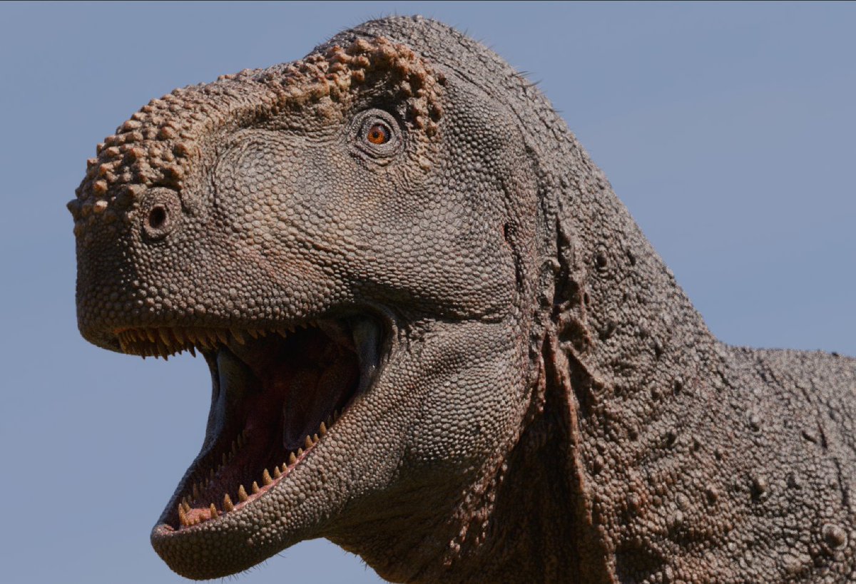 paleo_caio's tweet photo. some more light tests. #paleoart #dinosaur #pycnonemosaurus https://t.co/BjSmVGGiqX