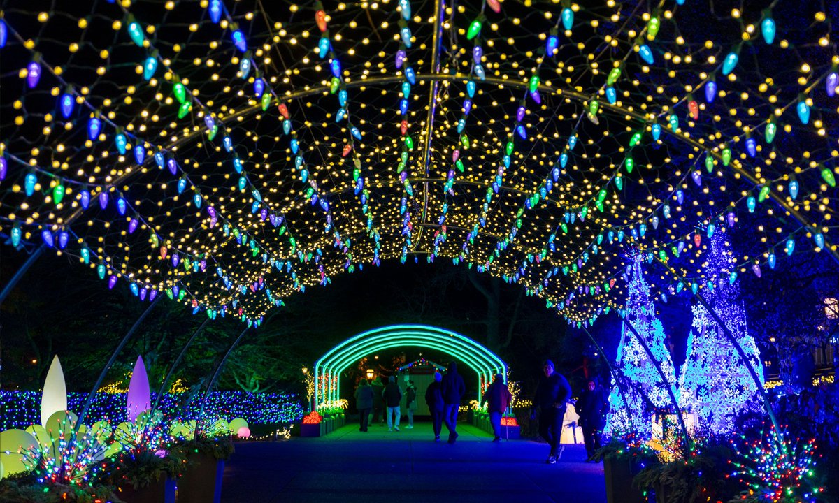Get ready for a weekend of spectacular lights!🤩

During Phipps Holiday Magic, explore our outdoor spaces to enjoy the dazzling light displays of our Winter Light Garden. Find an endless variety of lights in unique shapes, sizes and colors!❄✨ 

More: phipps.conservatory.org/calendar/detai…