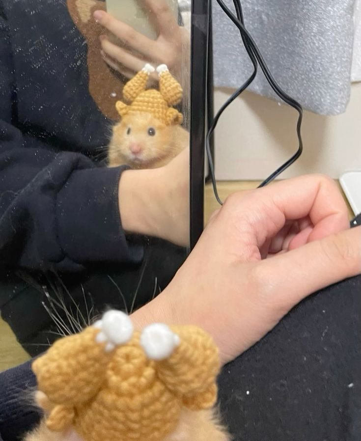💖 (@twaniimals) on Twitter photo 