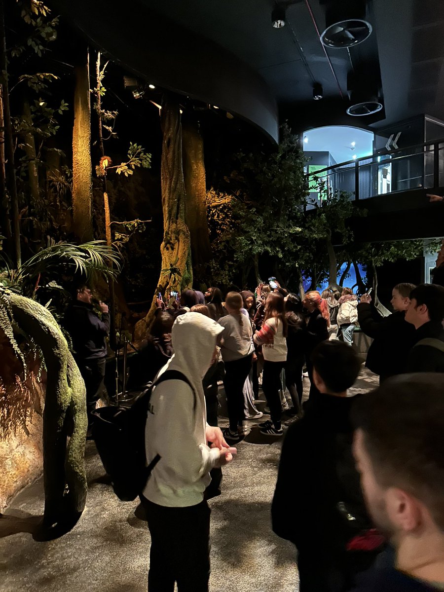 Miss McWilliams tweet media