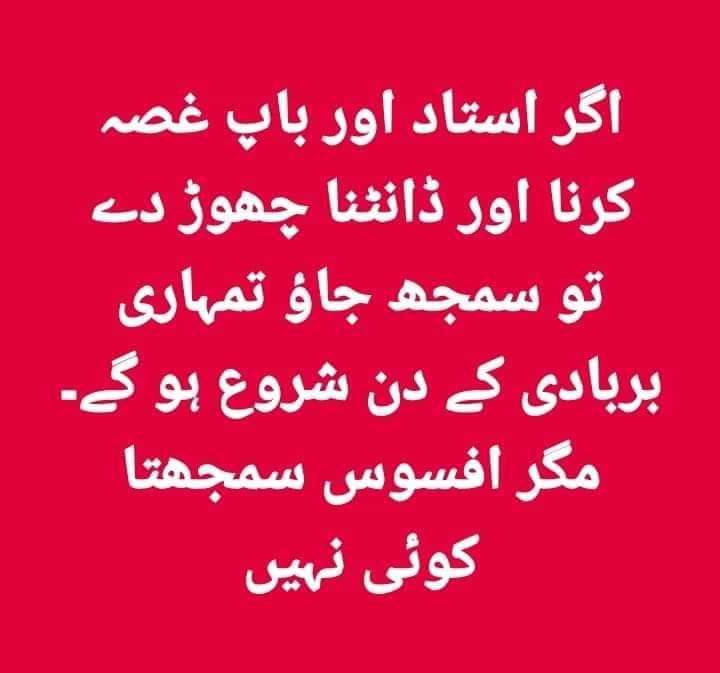 usman3893's tweet photo. شب بخیر https://t.co/VoM3N805P4