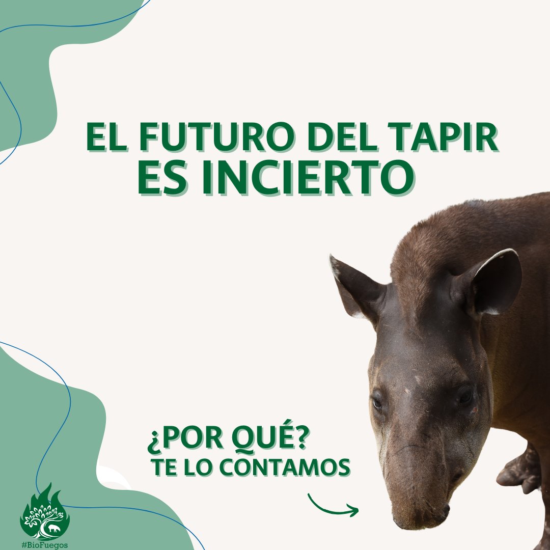 Ecolmod_UN tweet media