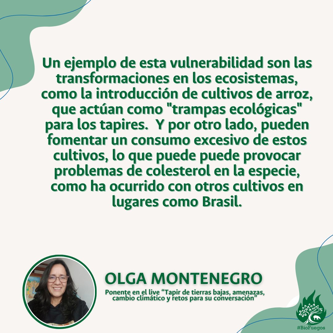 Ecolmod_UN tweet media