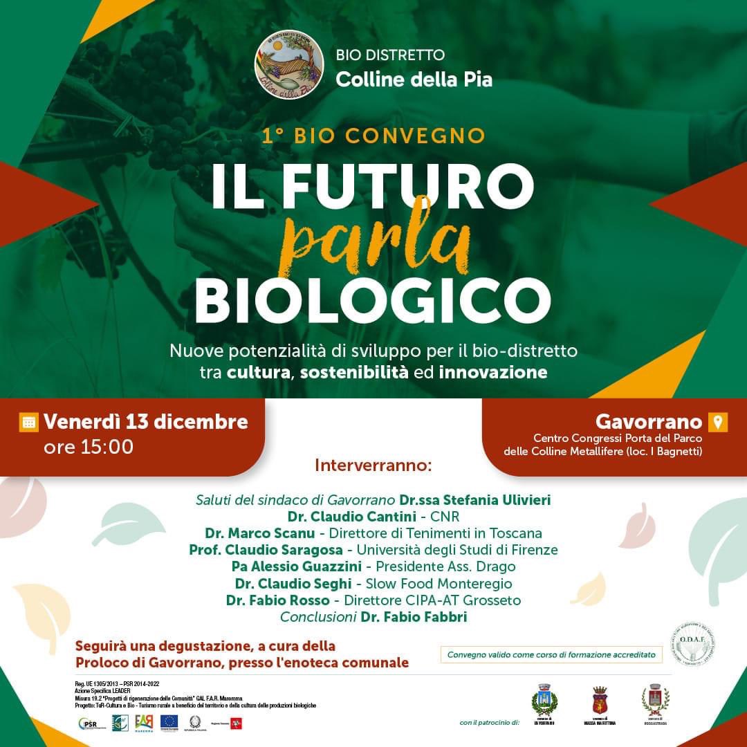 daniele tonini (@danieletonini1) on Twitter photo 