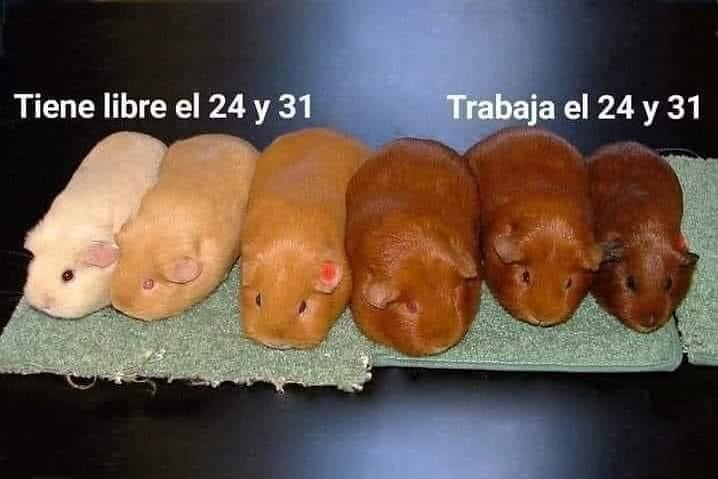 🇲🇽 México Mágico ✨ (@enmexicomagico) on Twitter photo 