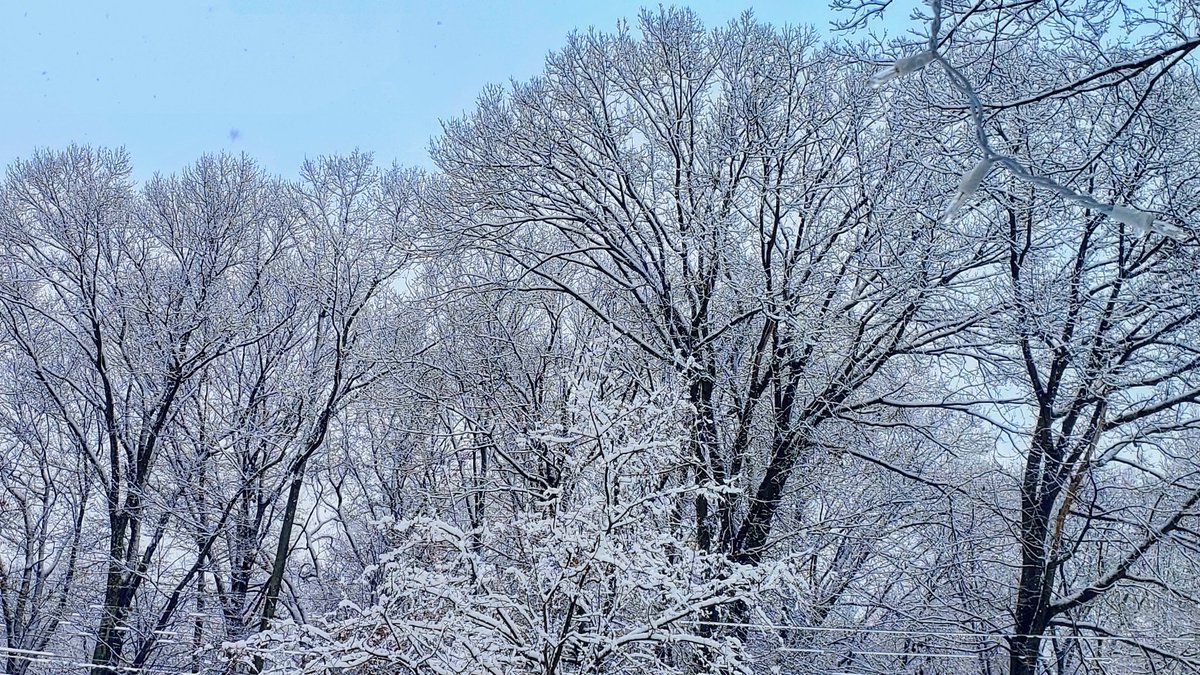 Neil Jaythi tweet media