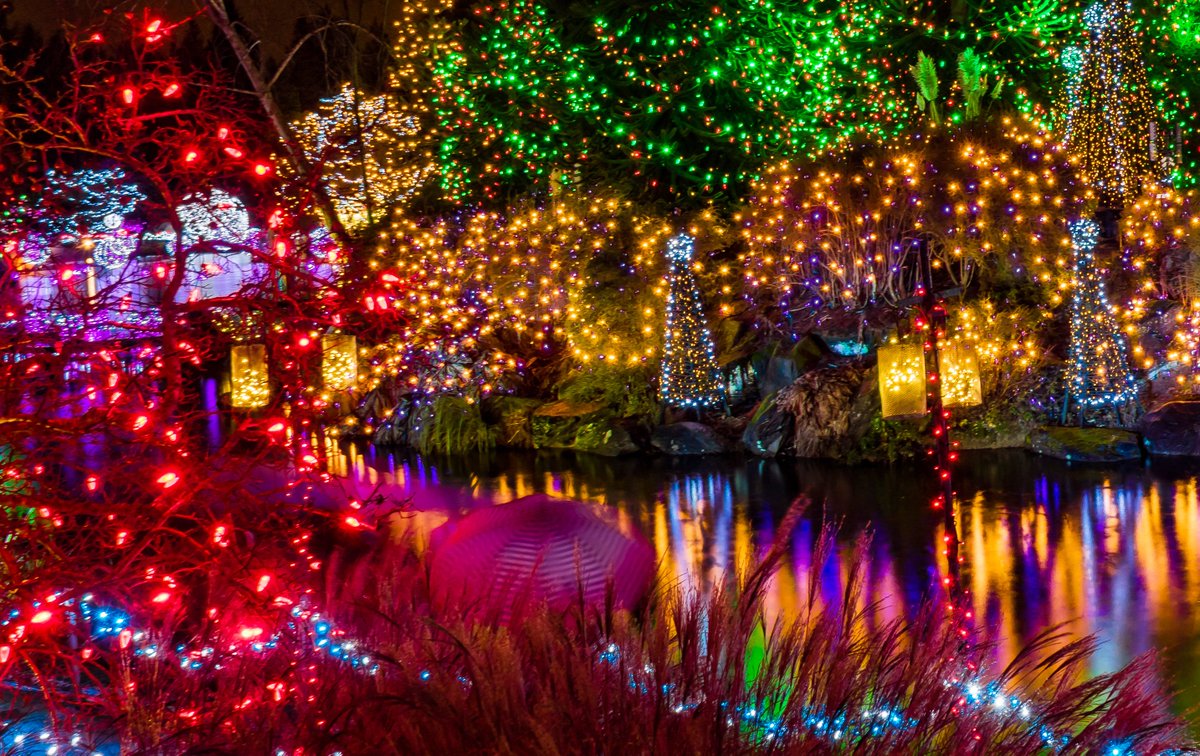 Canada's tweet photo. What better way to spend a Friday night than at the #VanDusen Festival of Lights? Held in #Vancouver at the #VanDusenBotanicalGarden, it runs until January 6, with food, fun, and a light display inspired by the #GreatBearRainforest! What’s your favourite part of the festival? ✨ https://t.co/dvLP23FicL