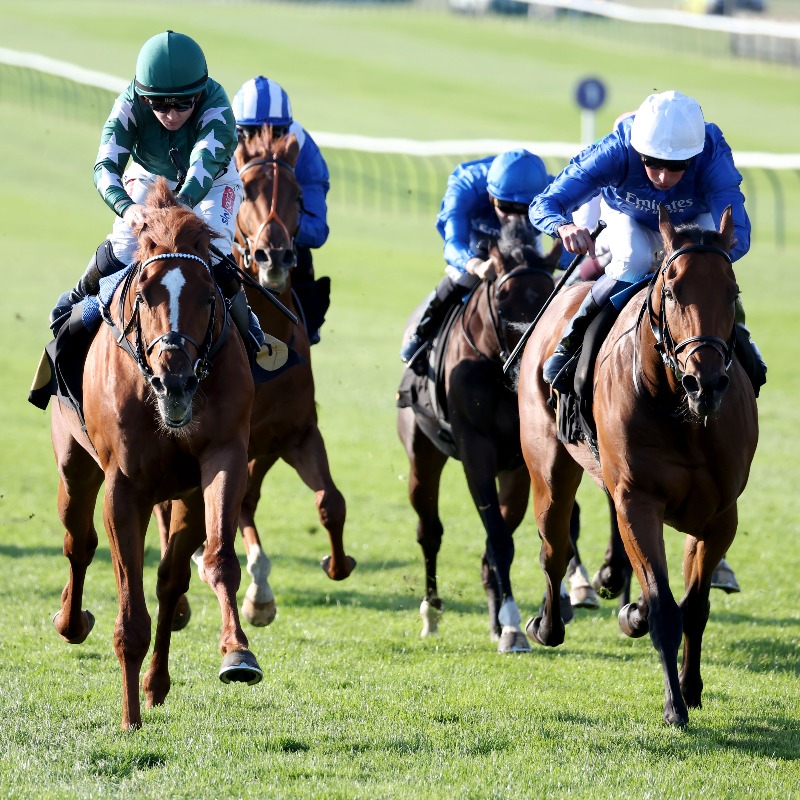 BHAHorseracing's tweet photo. The BHA has confirmed changes to the programme of Novice and Maiden Flat races for 2025, as well as where things will remain the same, following ongoing engagement with the @NTFnews ⤵