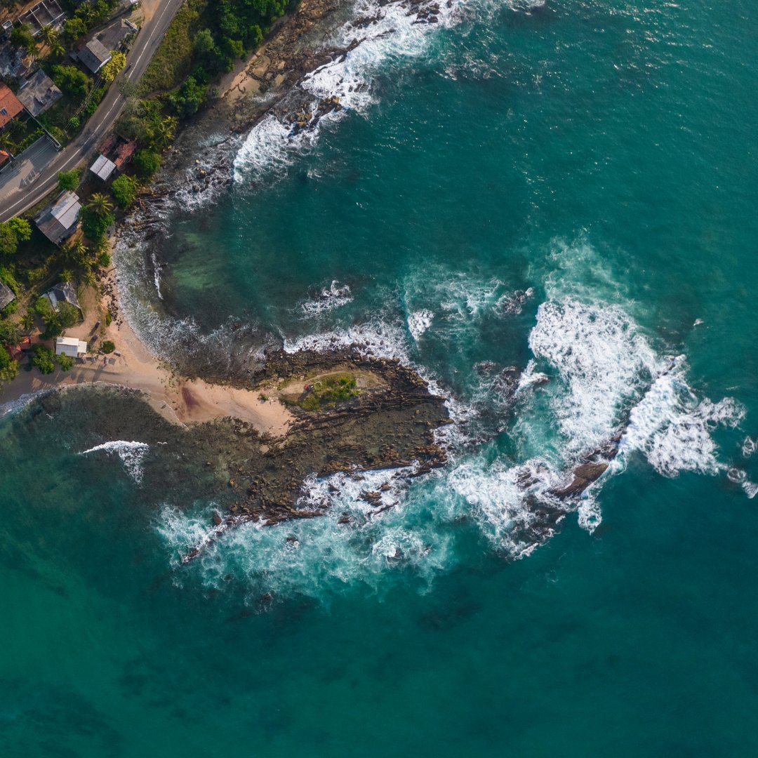 ideexviaggiare's tweet photo. #SriLanka: la perla dell'#Oceano Indiano. #Templi millenari, #safari mozzafiato, e piantagioni di tè a perdita d'occhio. Un #viaggio indimenticabile! 🌿#DreamDestination #nature #TravelMore https://t.co/DulF4z5C70